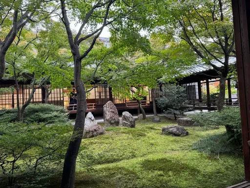 大暑數鈔!水瓶意外進帳、雙子穩穩賺 這星座財富全面開花