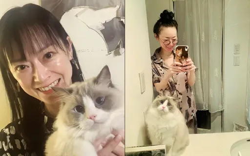 远野凪子陈尸家中非自杀死因曝光!家人称她为爱猫努力生活