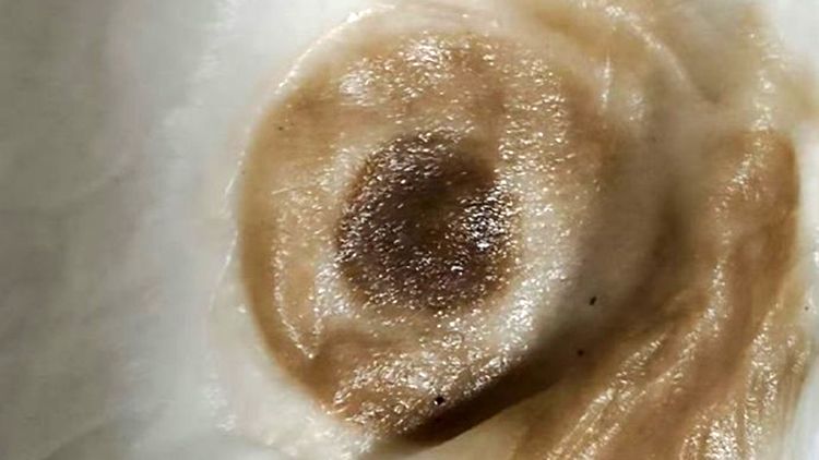 杭州自來水超噁爛「傳誤接糞水管」　水廠回應了：每戶免費用5噸
