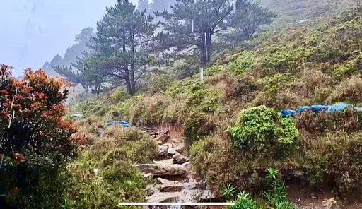 台東超大豪雨南橫公路落石 7/10-7/13入住嘉明湖山屋可辦理全額退費