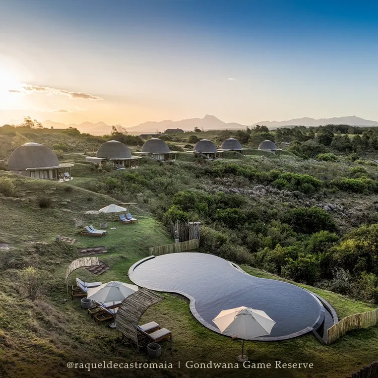 五星級的岡瓦納野生動物保護區。翻攝自X @gondwanareserve