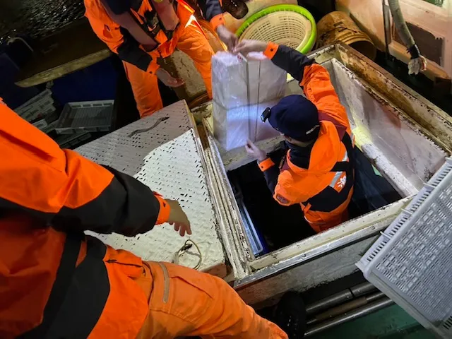 海巡人員查獲走私浦燒鰻。海巡署提供