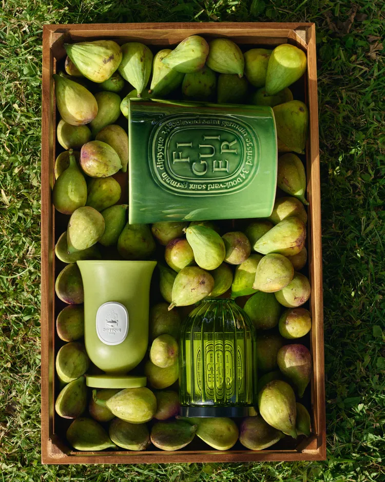 Diptyque 2025限量夏日綠色蠟質花瓶&玻璃燭罩&無花果室內外香氛蠟燭。品牌提供