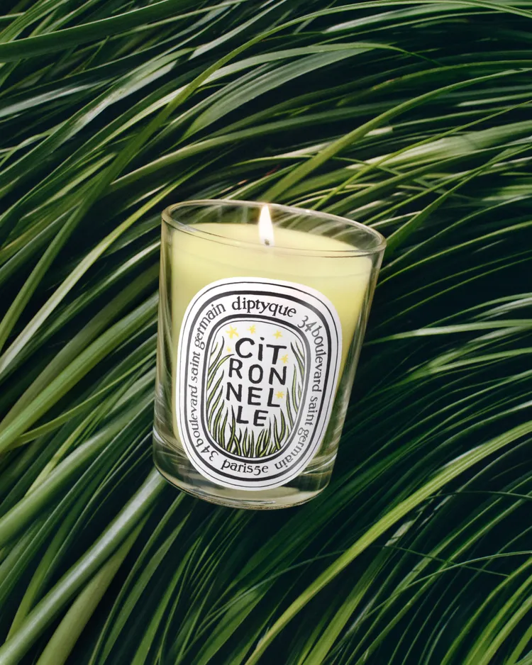 Diptyque 2025限量檸檬草香氛蠟燭，190g／2300元。品牌提供