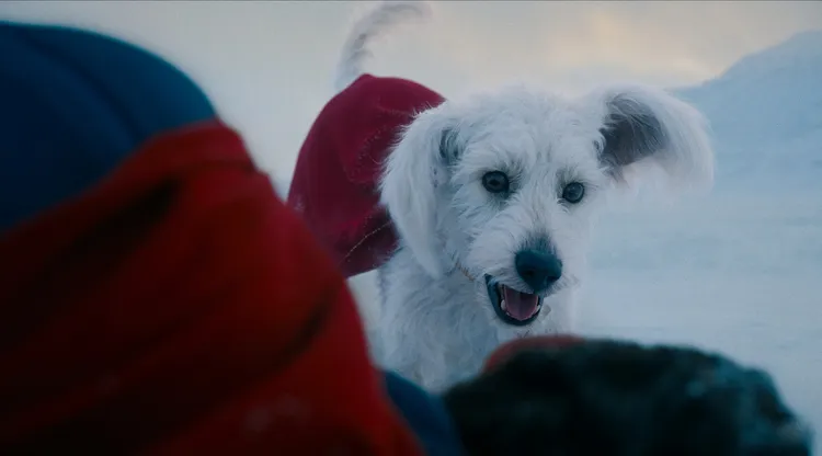 「超狗」氪普托萌翻。華納兄弟提供