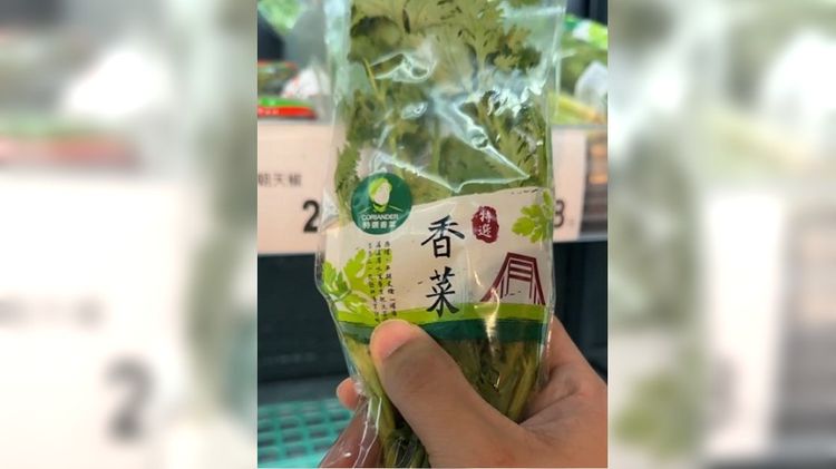 珍惜會給香菜的店！每斤飆破千元　中南部豪雨讓菜價飆到翻天