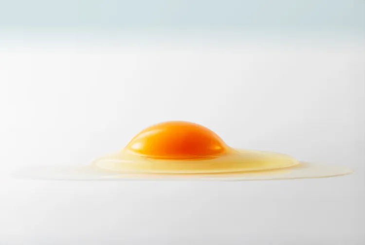 雞蛋選用屏東大武山牧場生產、為台灣僅有的兩家獲「生食級」認證雞蛋，傳襲自日本伊勢食品百年飼養法所生產的雞蛋，蛋黃飽滿、蛋香濃郁，更加助於豬排與白飯完美交融。業者提供