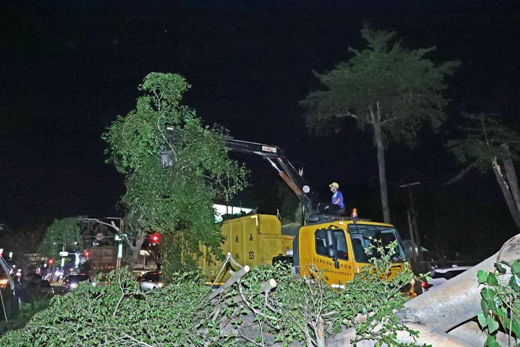 嘉義市府團隊進行災後復原工作。嘉市府提供