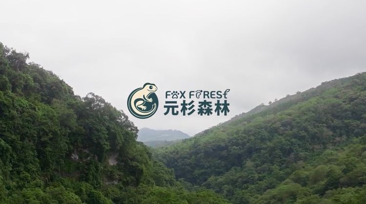前進COP30！台大實驗林攜元杉森林　打造全台首座生物信用示範林區