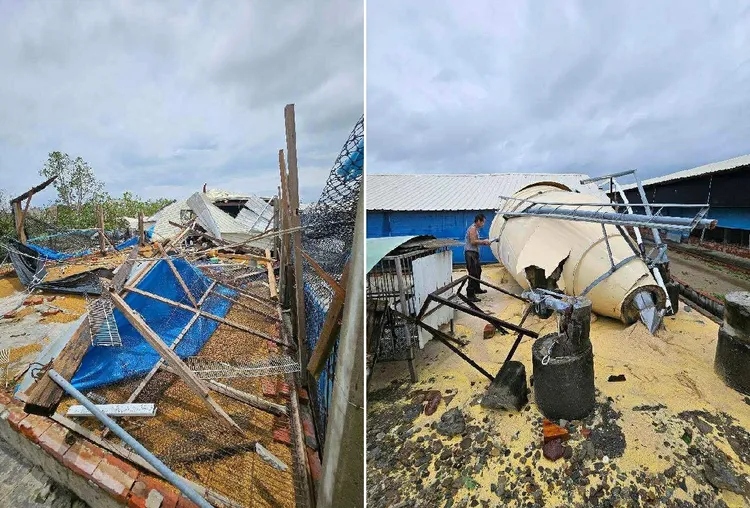 丹娜絲颱風過後，位於台南佳里區養雞場的飼料桶傾倒、災損情形。林姓老闆授權提供