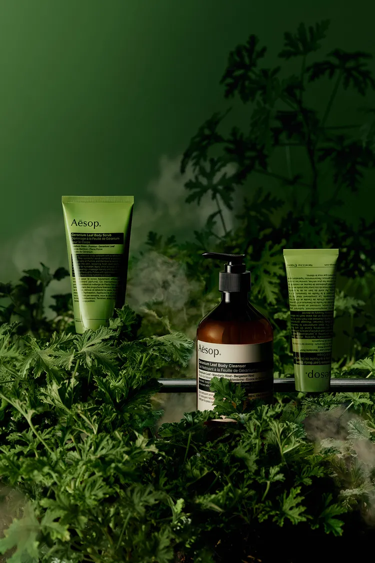 Aesop天竺葵身體保養系列。品牌提供