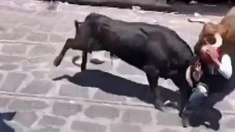 黑牛把男子撞飛後，黃牛也立即加入戰局，牛角直接插穿男子臉部，把他臉皮撕了開來。翻攝自reddit