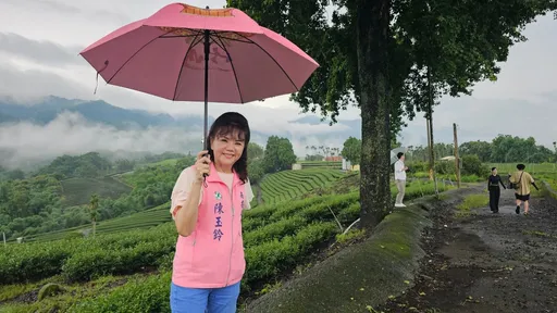 投票率仅3成!中选会:陈玉铃罢免案未通过 同意票不足选区人数1/4