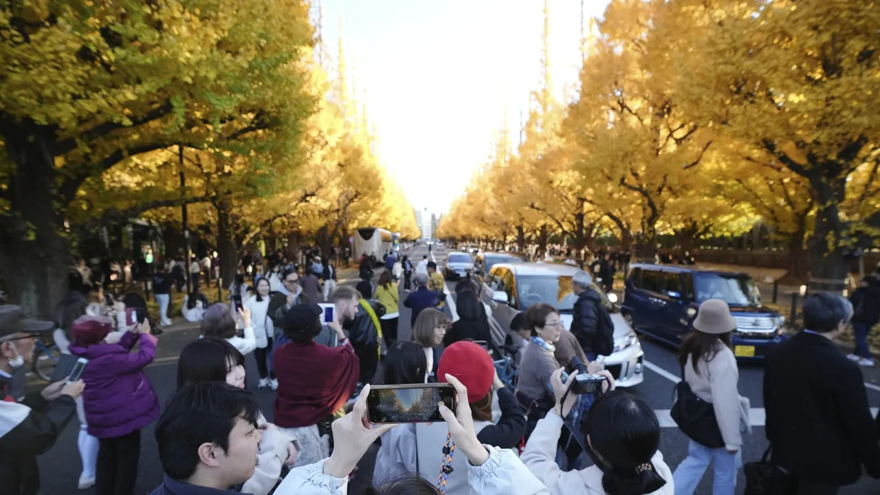 参政党认为日本外来人太多,必须透过抵挡全球化来重建日本人民的生计。非新闻当事人。美联社资料照片