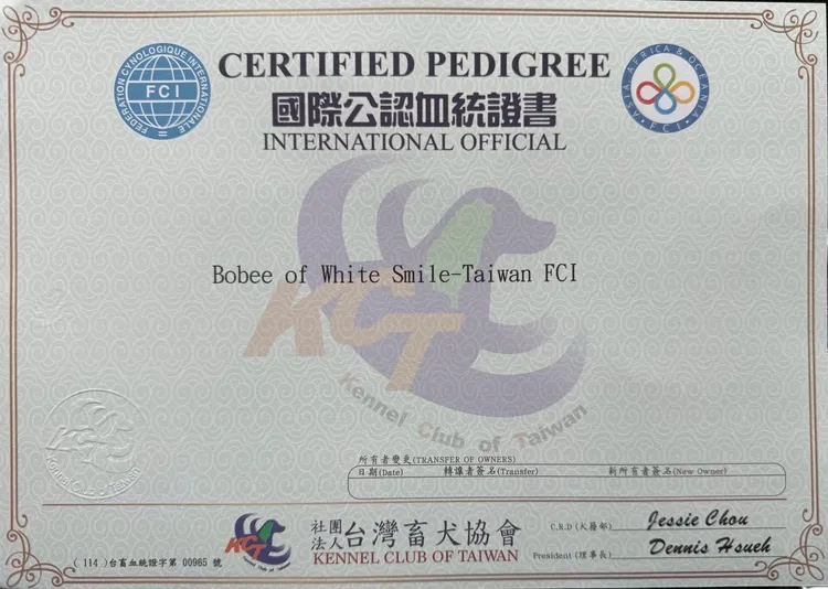 Jack出示愛犬的血統證明，決不是近親繁殖而生下的狗狗。投訴人提供