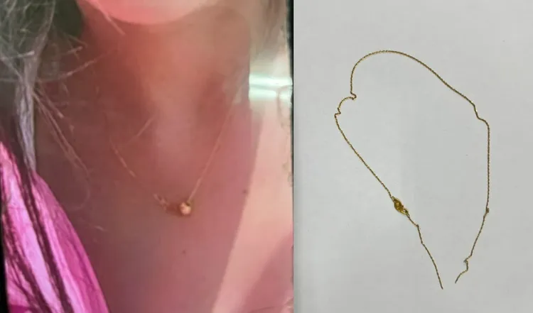 印尼籍女員工走在東協廣場，被許姓男子搶走價值１萬多元的金項鍊。翻攝照片