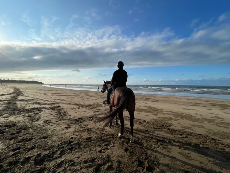 馬術輕體驗可與溫馴小馬零距離互動。蘊泉庄提供