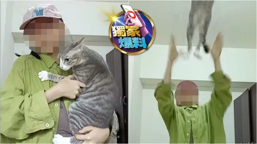 獨家爆料|狠甩貓咪涉虐!女童喊「我哪有」 牠厭世臉惹憐!動保處要查了