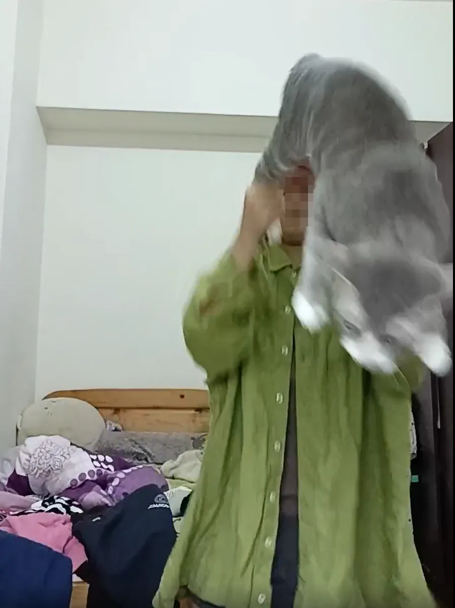 女童在家直播時6度頭上腳下甩貓,貓咪露出厭世表情。翻攝畫面