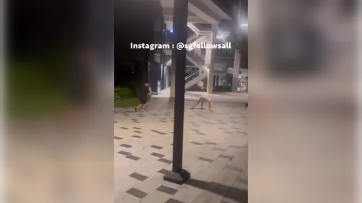 不忍了!「喪屍菸彈」肆虐害少女墜樓亡 星國祭鞭刑重罰