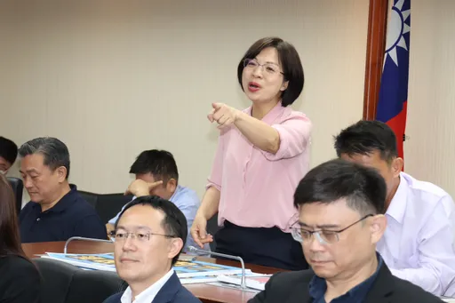 第2槍!林淑芬砲轟柯建銘:這屆黨團只會下命令、恐嚇開除