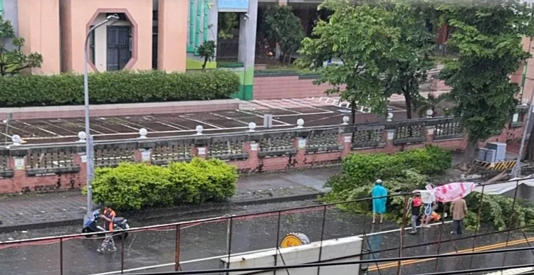 鳳山發生路樹傾倒，擊中騎機車路過的母子。翻攝threads/pallmallyo1021