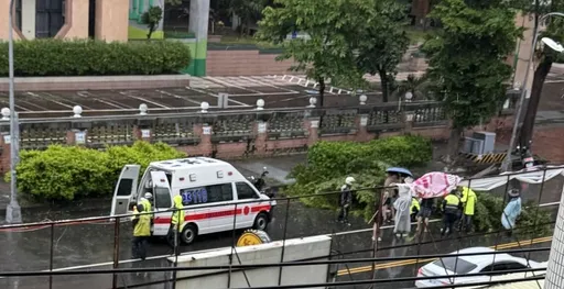 楊柳颱風吹倒高雄路樹 騎機車母子遭擊中送醫