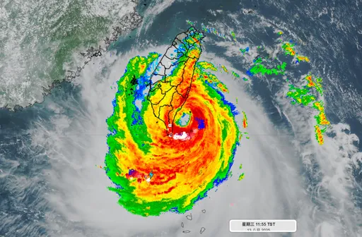 楊柳跌破專家眼鏡!颳17級「破表」陣風 高屏午後狂風暴雨