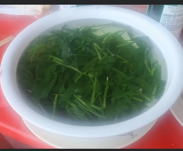 廖大乙說，農曆7月祭拜好兄弟可準備「空心菜水」。資料照片