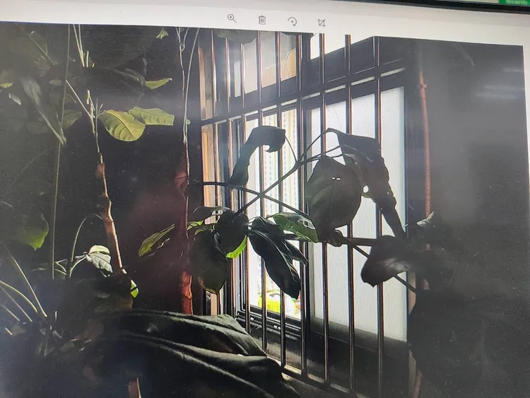 劉男於窗台找到備用鑰匙。警方提供