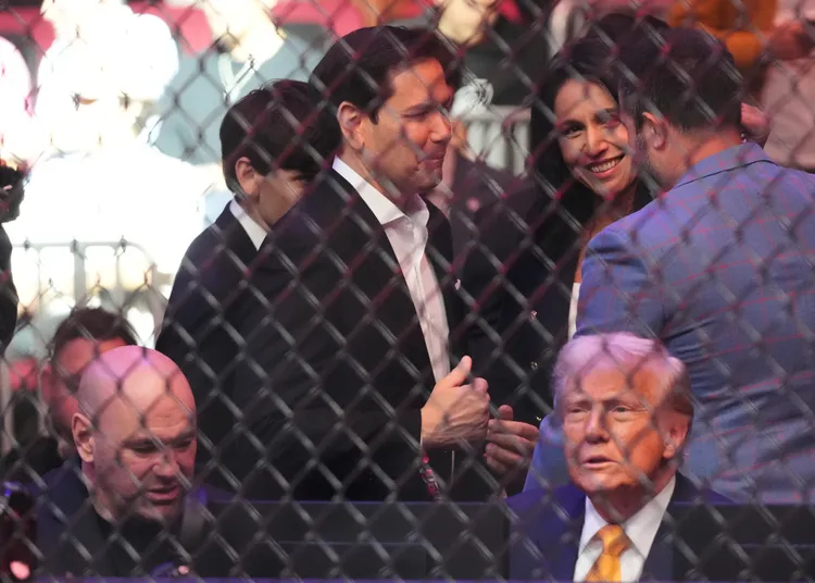 美國總統川普（右）與UFC主席懷特（左）。美聯社