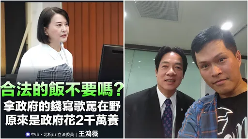 狠酸大支「合法的饭不要吗?」 王鸿薇爆:全民至少花2千万养他