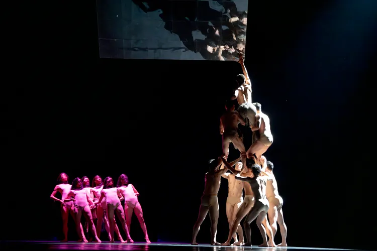 國泰金控攜手雲門舞集30年，秉持「藝術走入生活」的理念，每年持續透過戶外公演與社區巡演，將藝術帶到全台各地。國泰金控提供