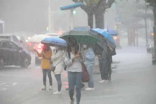 「超大豪雨」炸南高屏!豪雨襲12縣市 「白鹿」颱風估今生成