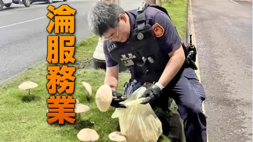 「警察拔毒菇」畫面曝光!他怒譙:誰下令的?警方回應了