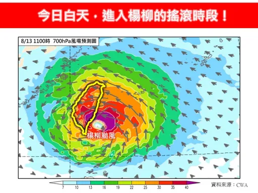 楊柳搖滾時段來了!台東颳14級以上「致災風」 災防告警連發