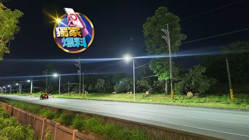 獨家爆料|說好的種樹固碳?高雄和發工業區砍一整排黑板樹 深究有原因