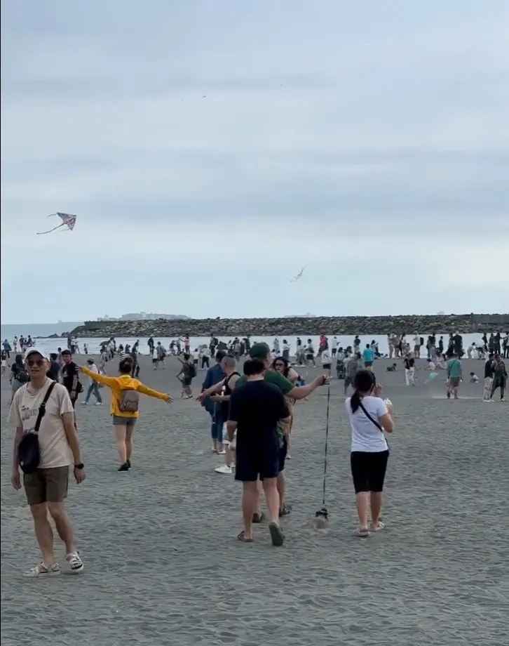 男子不時將狐獴繫繩拉起懸勒，甚至在炙熱沙灘上拖行。翻攝畫面