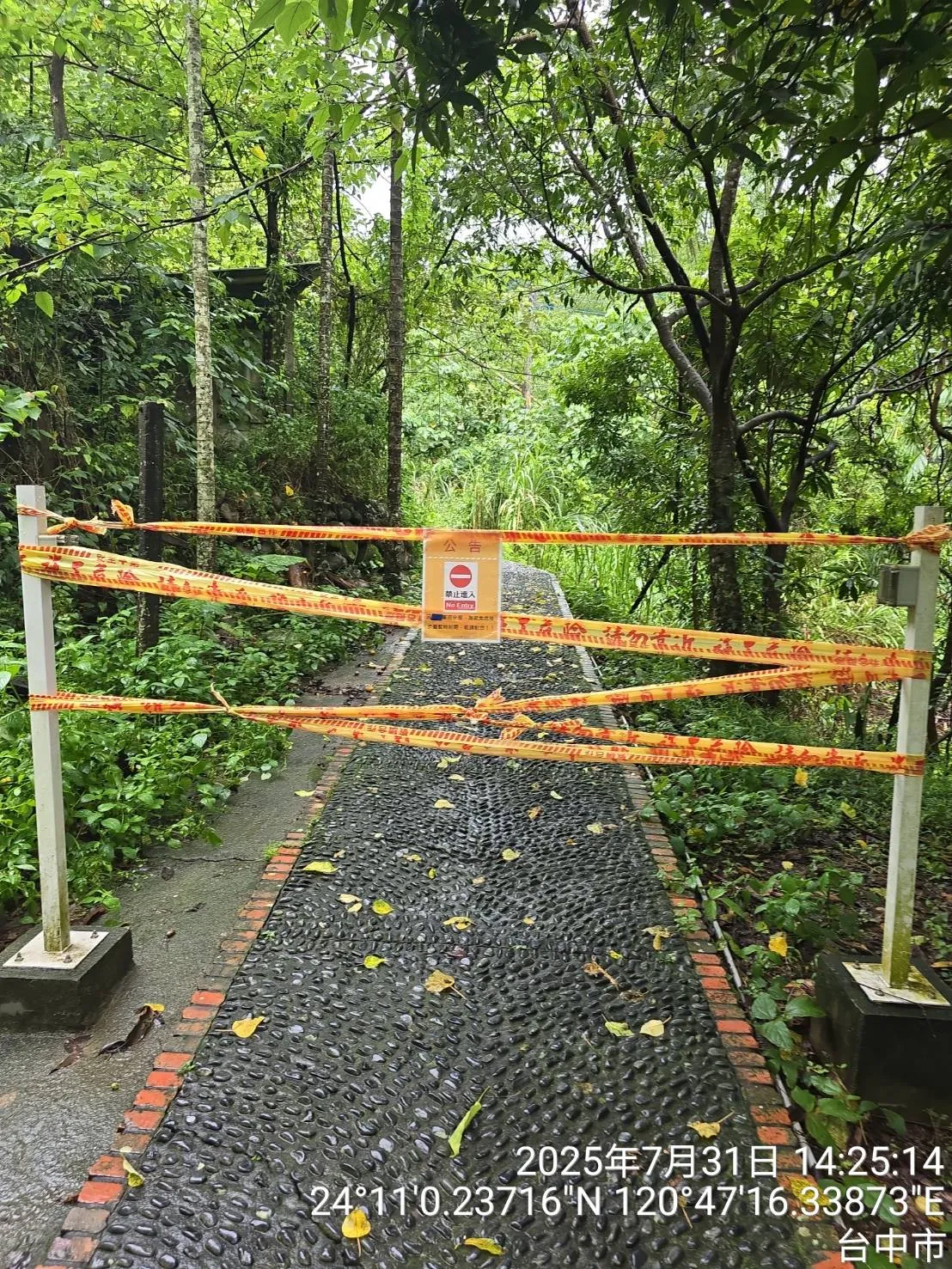 大坑14条登山步道及联外道路多处发生崩塌及边坡滑动情形,目前暂时封闭中。市府提供