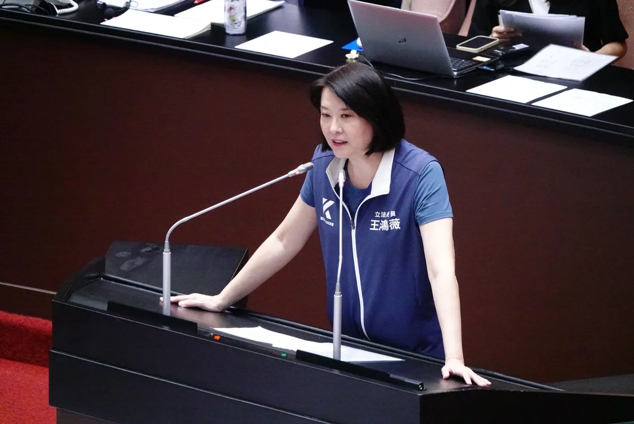 卢秀燕粉底液2400元遭讥　王鸿薇具名检举：NCC能再装睡？