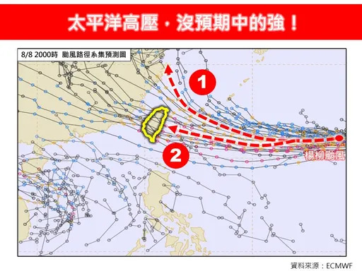 楊柳是否侵台?2下場曝光「差很大」 專家:這天非常關鍵
