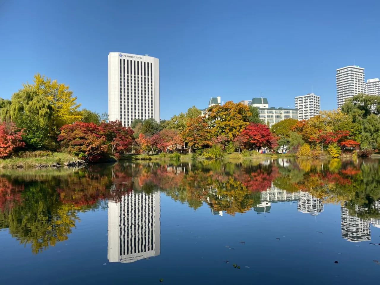秋楓北海道行程可走訪紅葉勝地。可樂旅遊提供