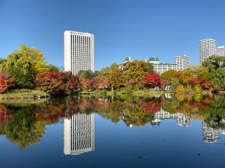 秋楓北海道行程可走訪紅葉勝地。可樂旅遊提供