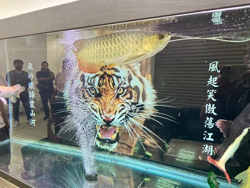 新竹风北会成立柬埔寨「老虎机房」诈骗洗钱 专诈大陆人至少10亿台币
