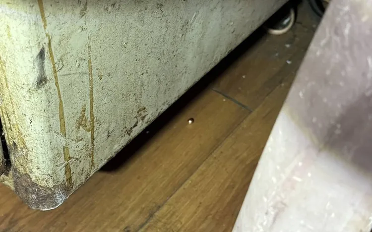 警方在現場找到2顆鋼珠彈。讀者提供