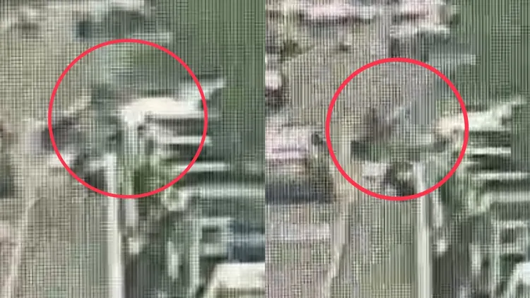 「金正恩」左轉時不慎撞上男騎士，雖然是韓國人，但她卻是個女生。民眾提供