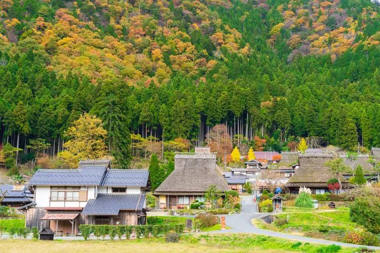 京都美山町茅茸合掌屋。雄獅旅遊提供