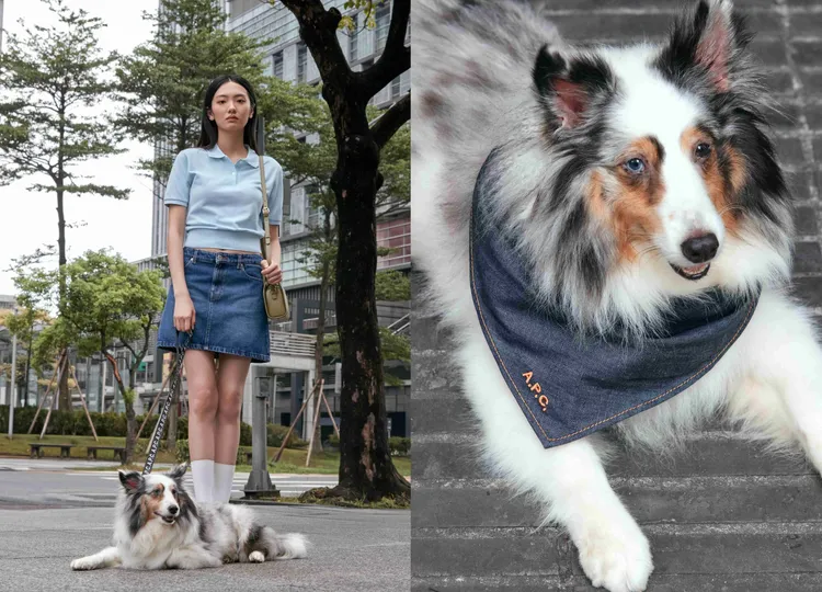 形象企劃描繪都市男女與寵物共處的日常風景。品牌提供