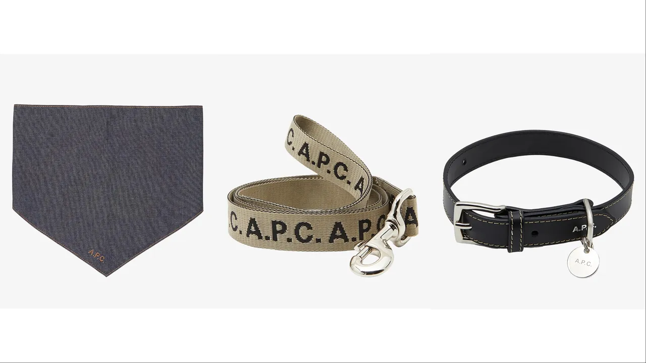 A.P.C. TOUTOU系列刺绣LOGO丹宁领巾(左起)1800元、绿LOGO花纹牵绳5800元、黑皮革项圈5800元。品牌提供