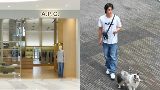 A.P.C.進駐Dream Plaza 獨家寵物系列升級毛小孩時尚